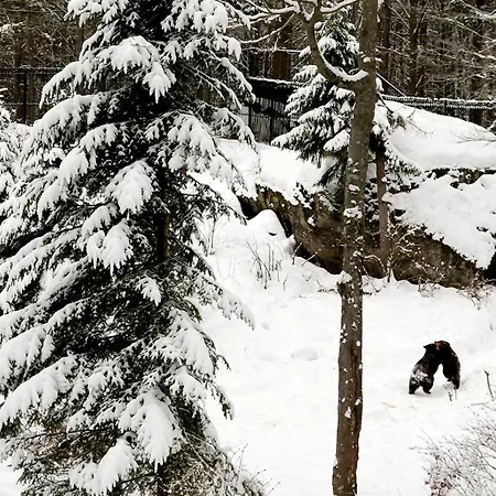 Nyaraló In Mit Garten Und Seeblick By Interhome *