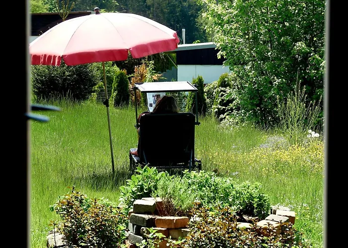 Casa de Férias In Waldkirchen Mit Garten Und Seeblick By Interhome *