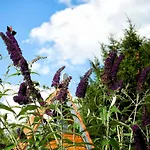 In Mit Garten Und Seeblick By Interhome Ferienhaus *