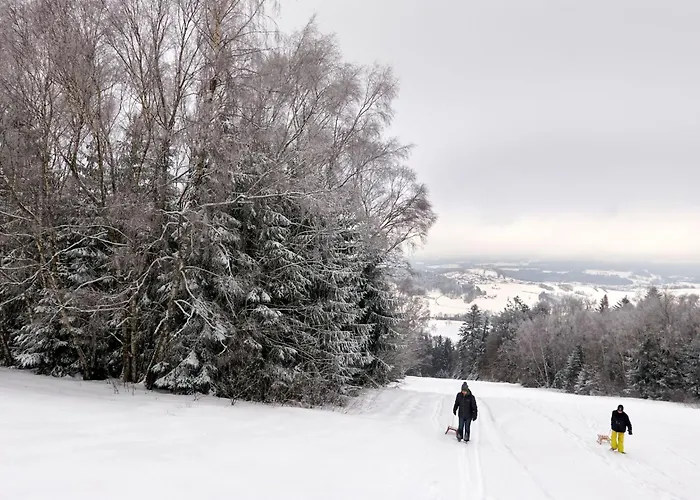 In Waldkirchen Mit Garten Und Seeblick By Interhome Ferienhaus *